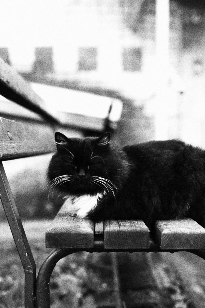 Photograph by Angelina Karelina