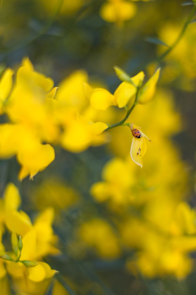 Photograph by Mina Mamdouhi