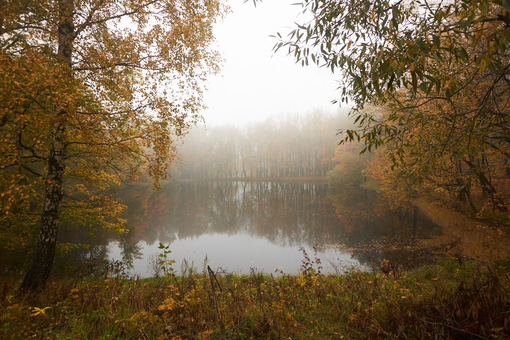 Photograph by Inna Tatarchenko