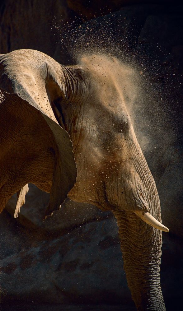 Photograph by Elitsa Mihaylova