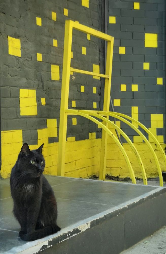 Photograph by Кривенко Владимир