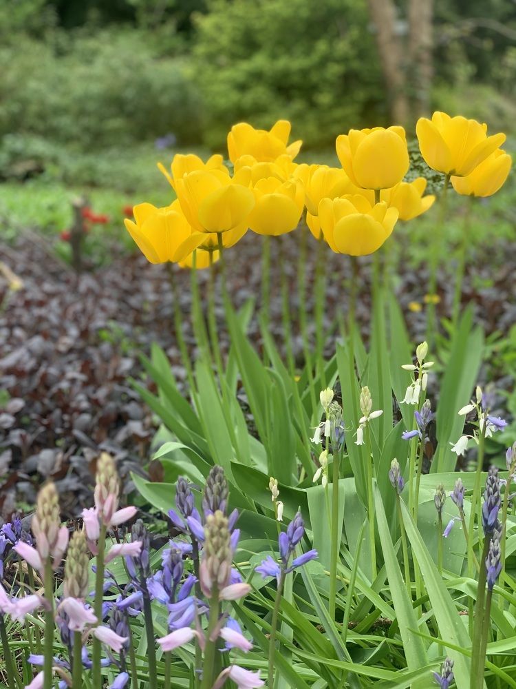 Photograph by Анастасия Мангольд