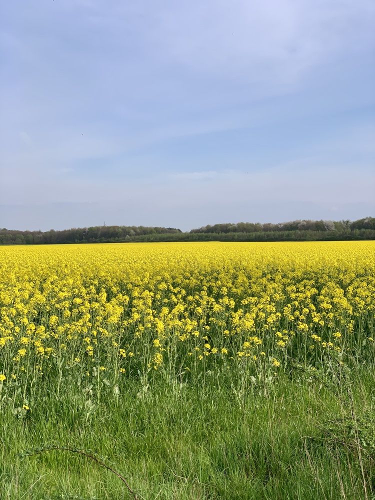 Photograph by Анастасия Мангольд