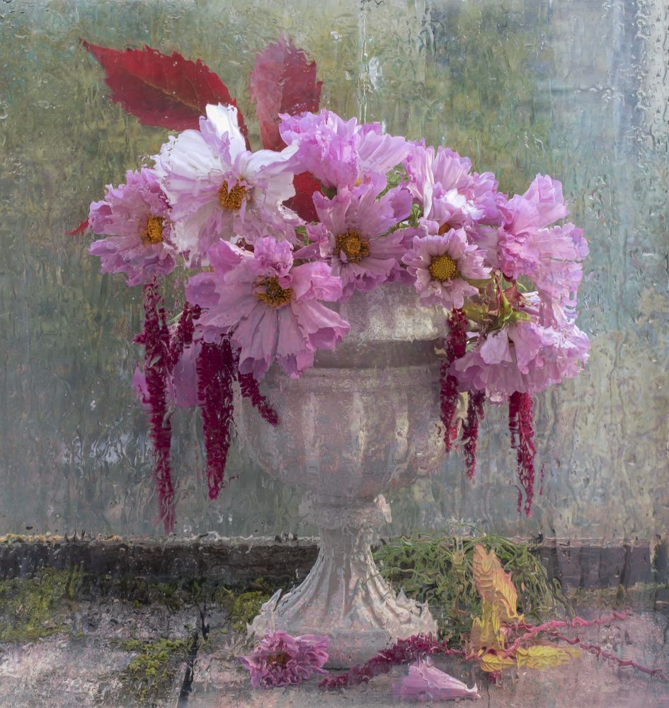 Photograph by Татьяна Феденкова