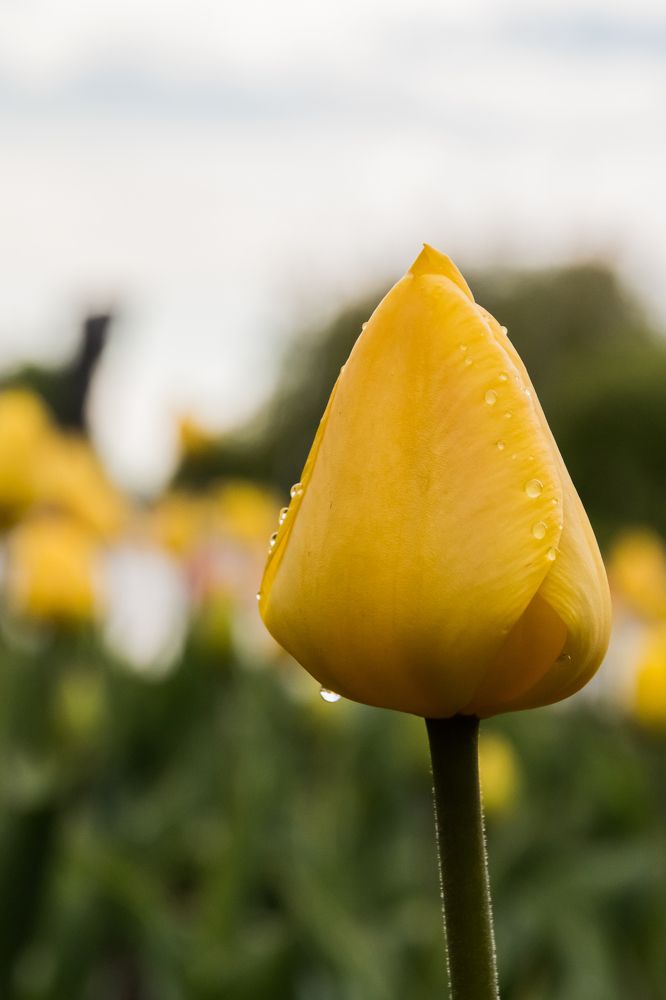 Photograph by Мария Тёмкина