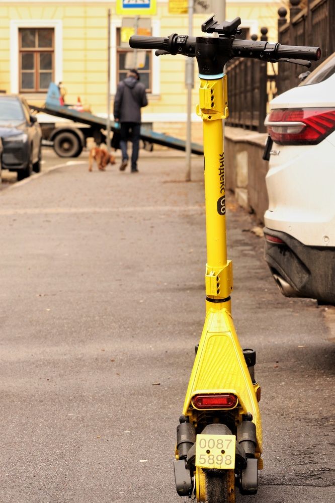 Photograph by Мария Тёмкина