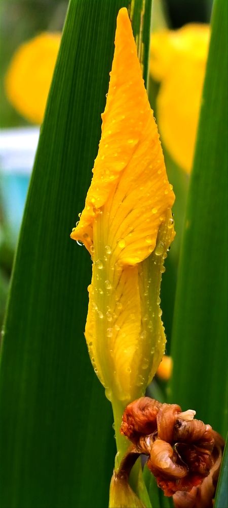 Photograph by Nаtaliia Zolotova