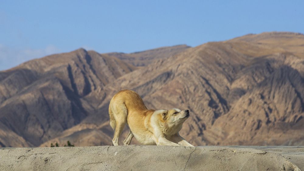 Photograph by seyed mostafa yousefi