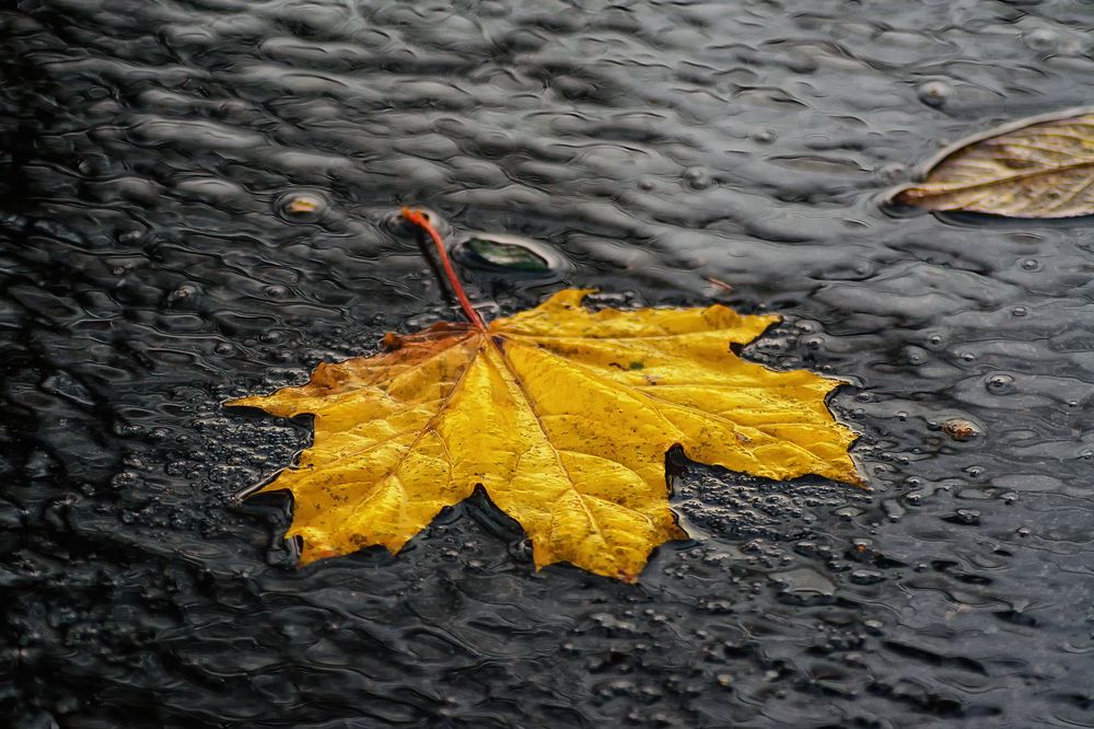 Photograph by Сергей Дишук