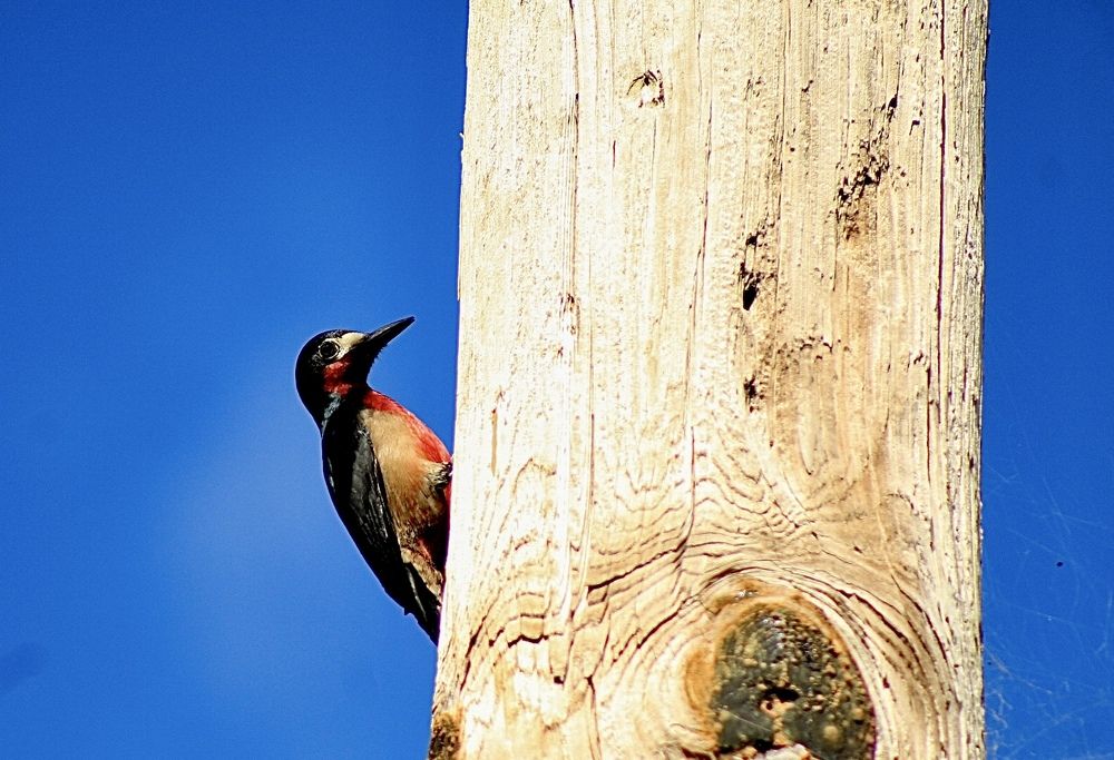 Фотография автора Jose Otero