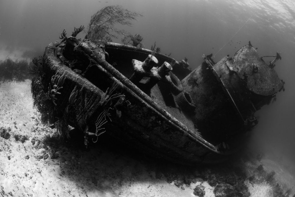 Photograph by Carlos Eduardo Barreto Pinheiro