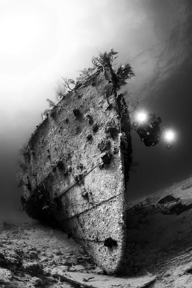 Photograph by Carlos Eduardo Barreto Pinheiro