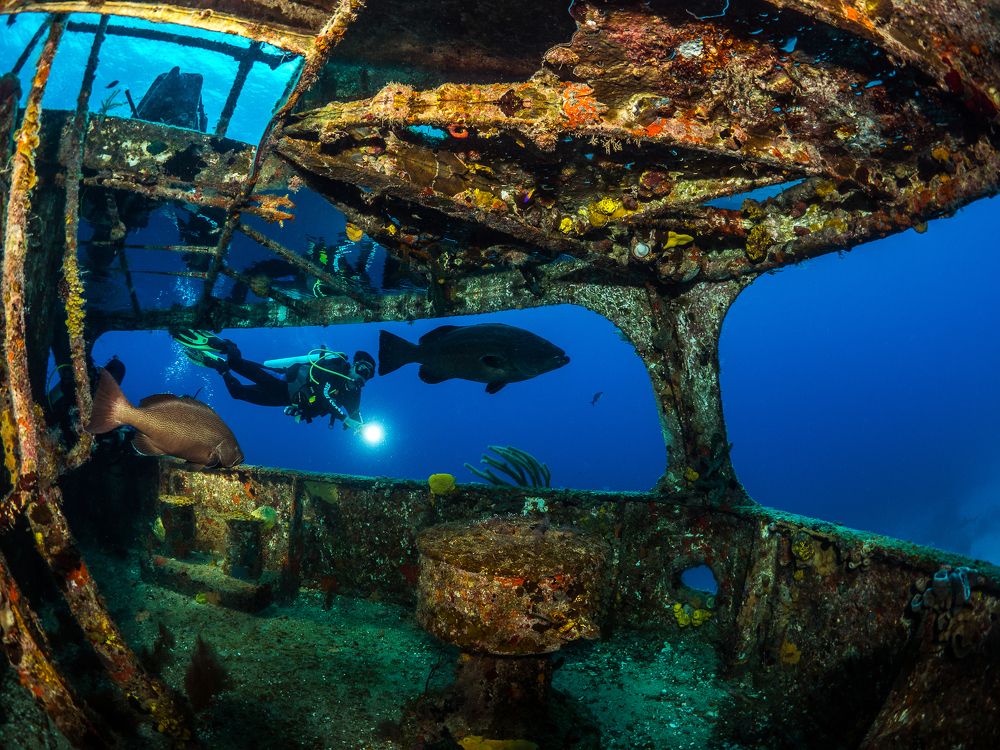 Photograph by Carlos Eduardo Barreto Pinheiro