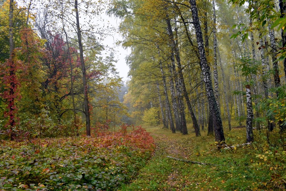 Photograph by Татьяна Калугина