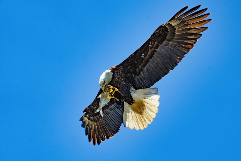 Photograph by Nitin Baste