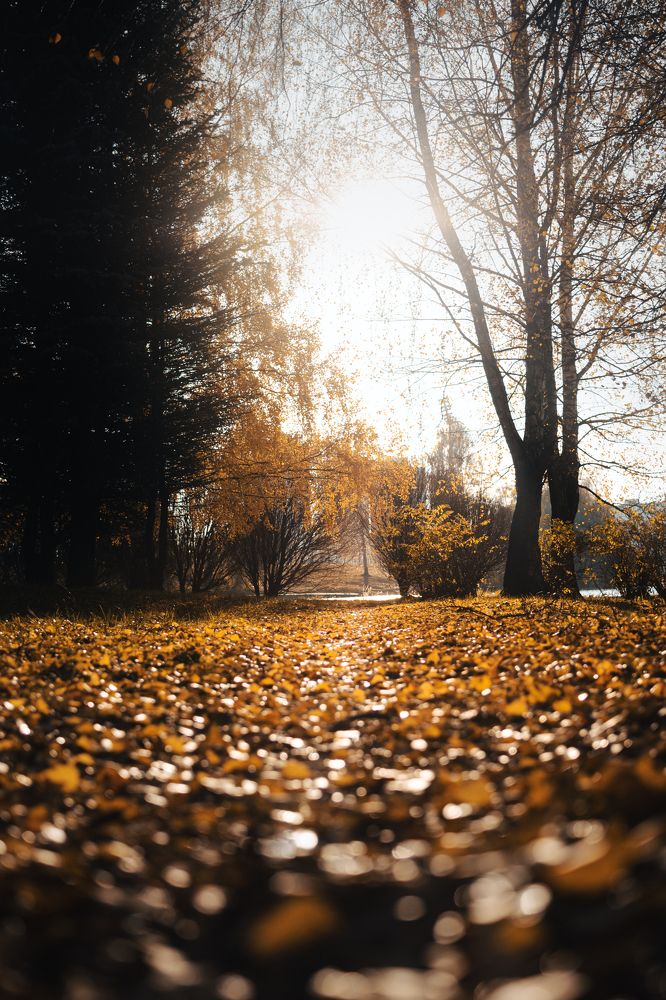 Photograph by Евгений Адуцкевич