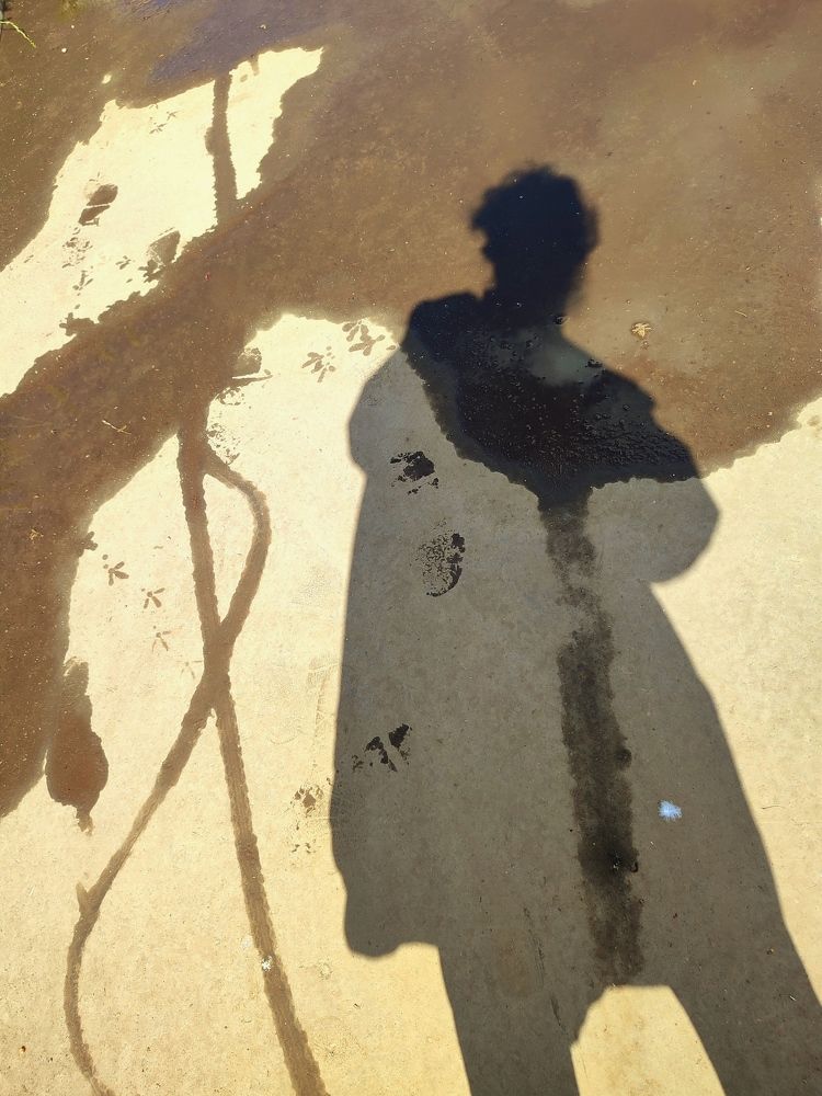 Photograph by Galina Novichkova