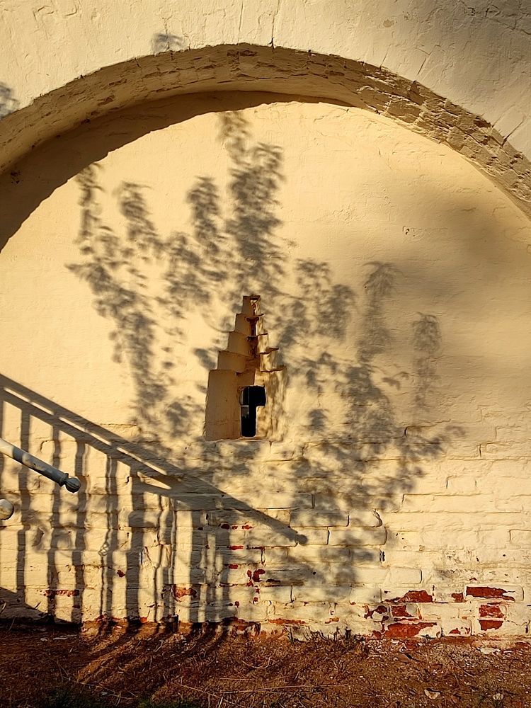 Photograph by Galina Novichkova