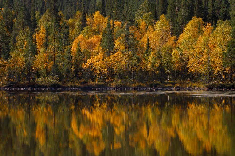 Photograph by Мария Казакова