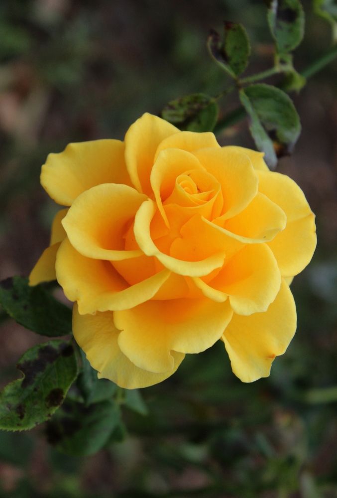 Photograph by Татьяна Сычёва