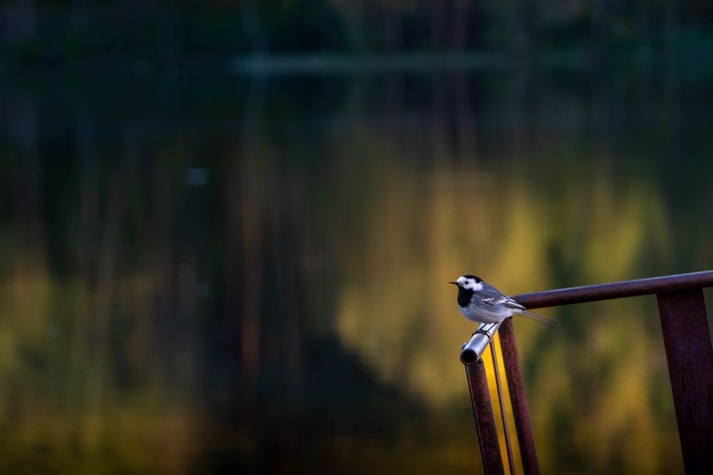 Photograph by Александр Ходакин