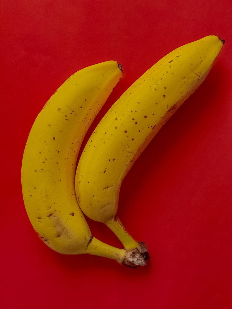 Фотография автора Елена Поживилко