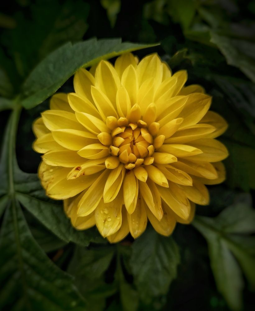 Photograph by Ингрида Кузнецова