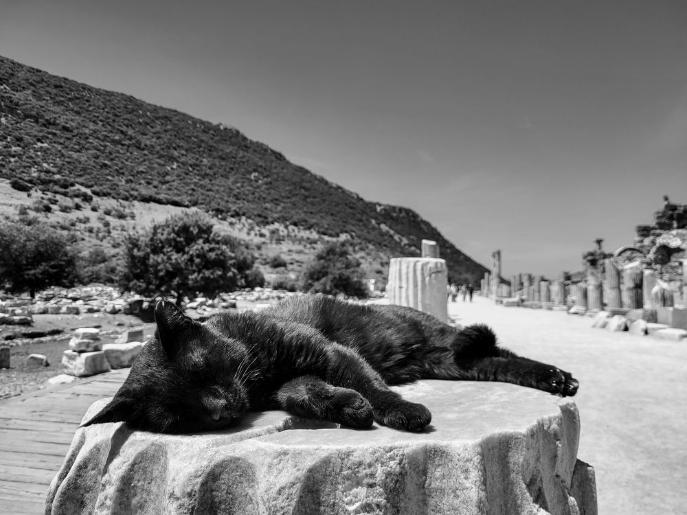 Photograph by Валерия Гуртовая