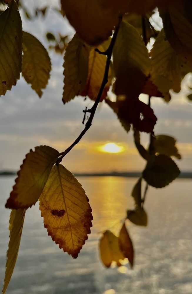 Фотография автора Елена Чиликина