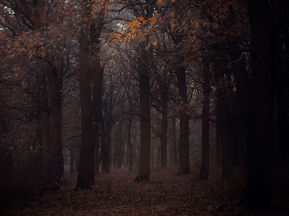 Photograph by Виктор Карпухин