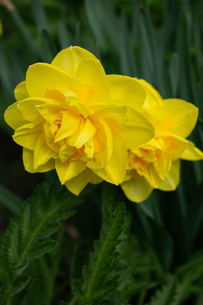 Photograph by Галина Ноздрина