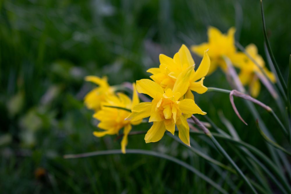 Photograph by Галина Ноздрина