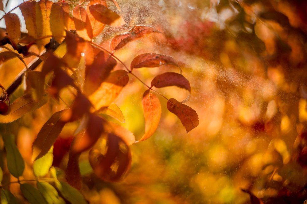 Photograph by Наталья Лещинская