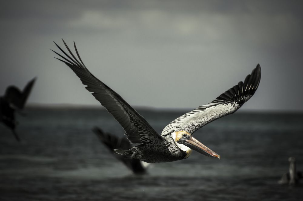 Photograph by Rafael Luis