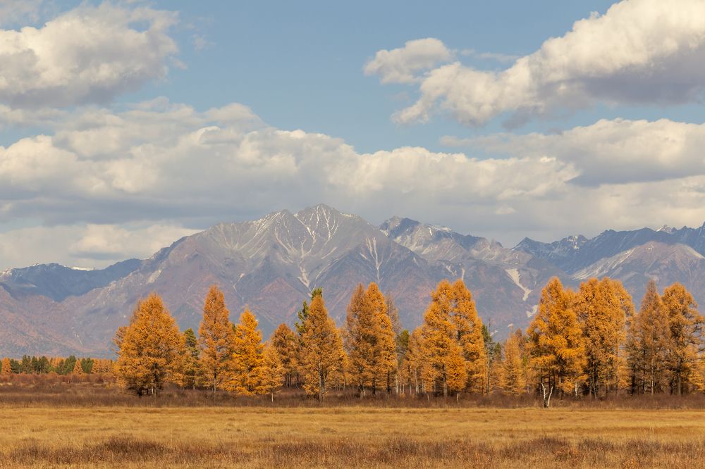 Photograph by Koledova Irina