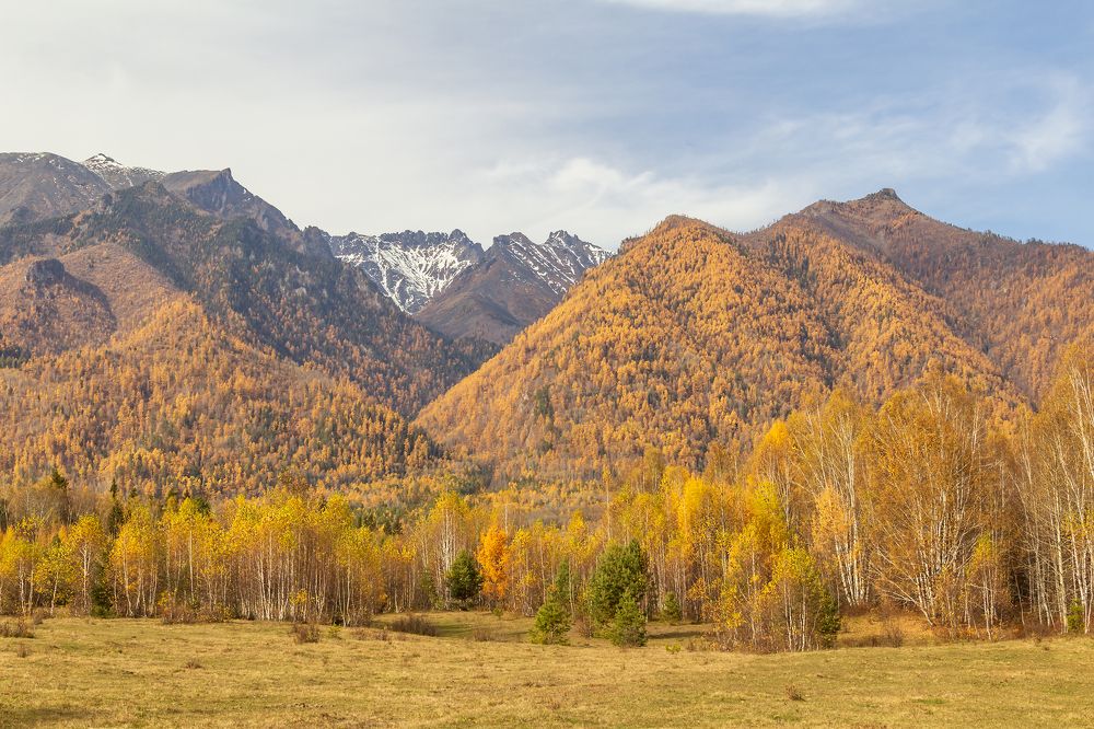 Photograph by Koledova Irina