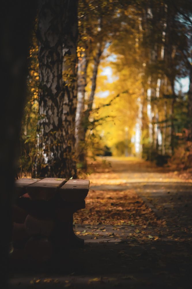 Photograph by Anastasia Kosenkova