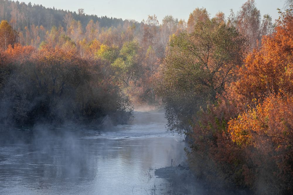 Фотография автора Васильев Игорь