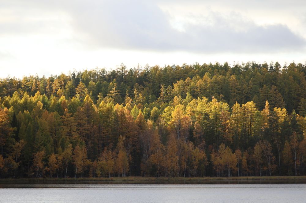 Photograph by Эдуард Герасимов