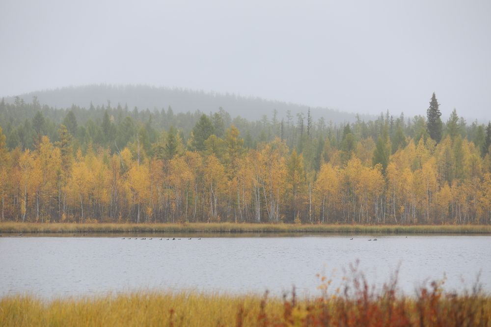 Photograph by Эдуард Герасимов