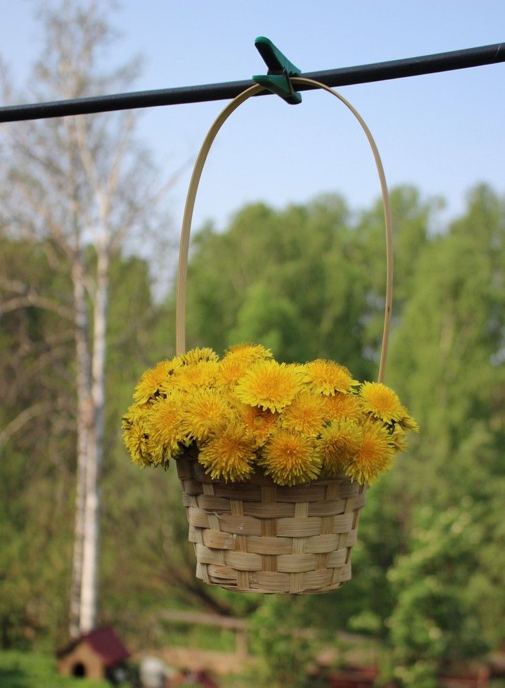 Photograph by Галина Мазур