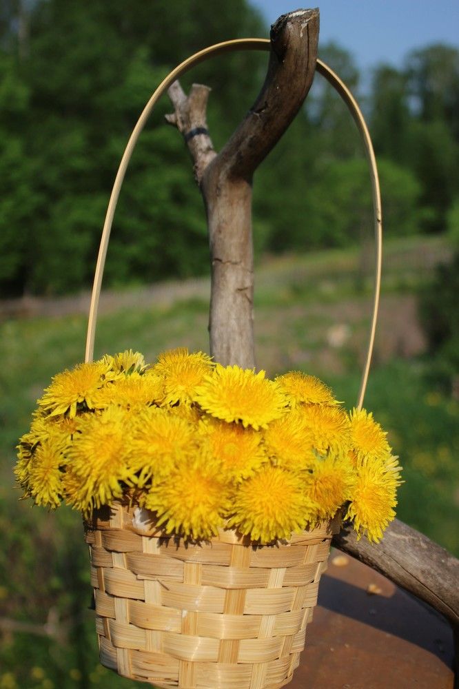 Photograph by Галина Мазур