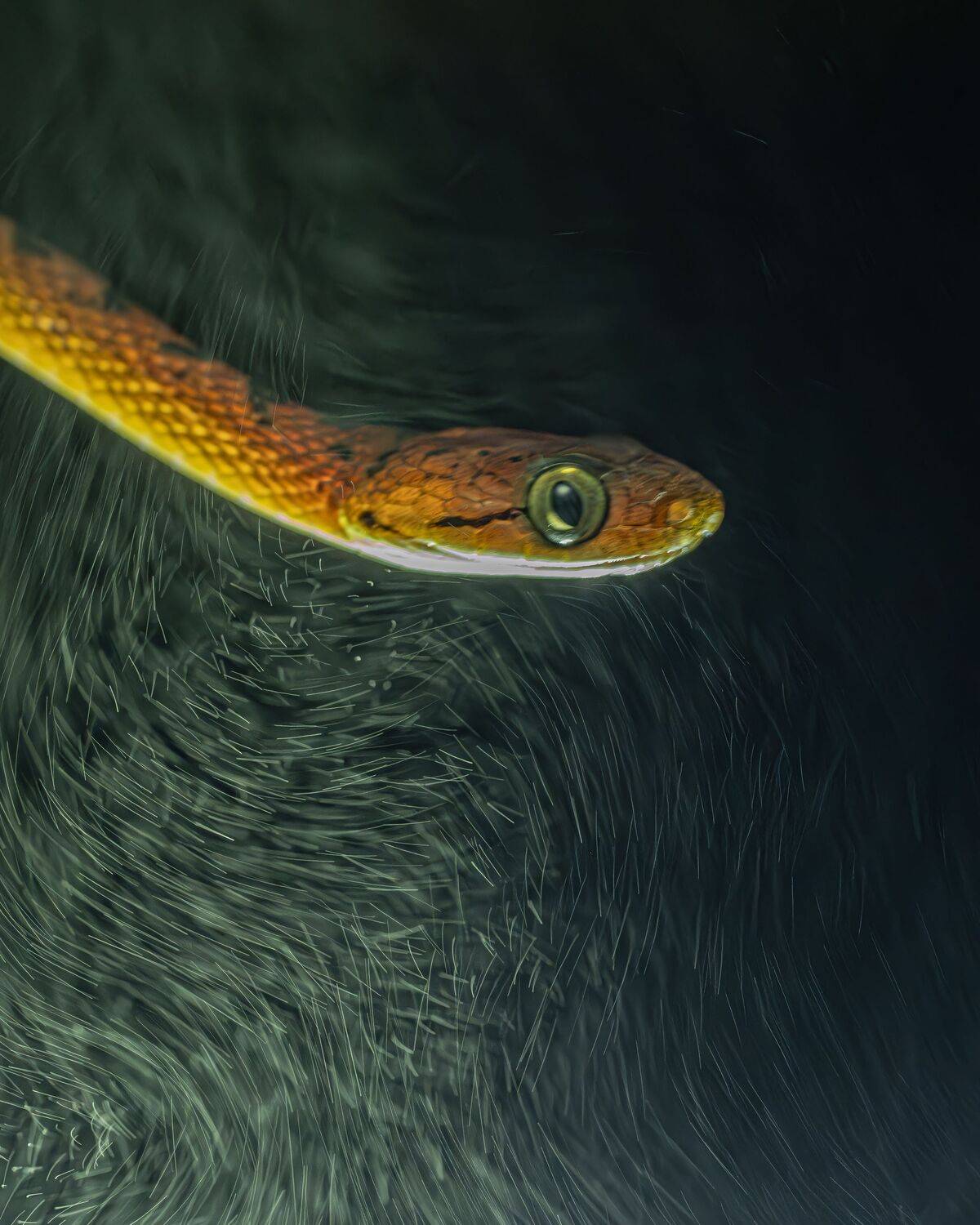 Фотография #11143278