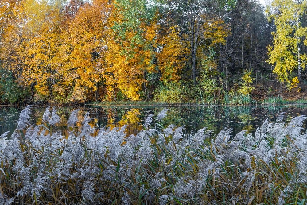 Photograph by Андрей Калинин