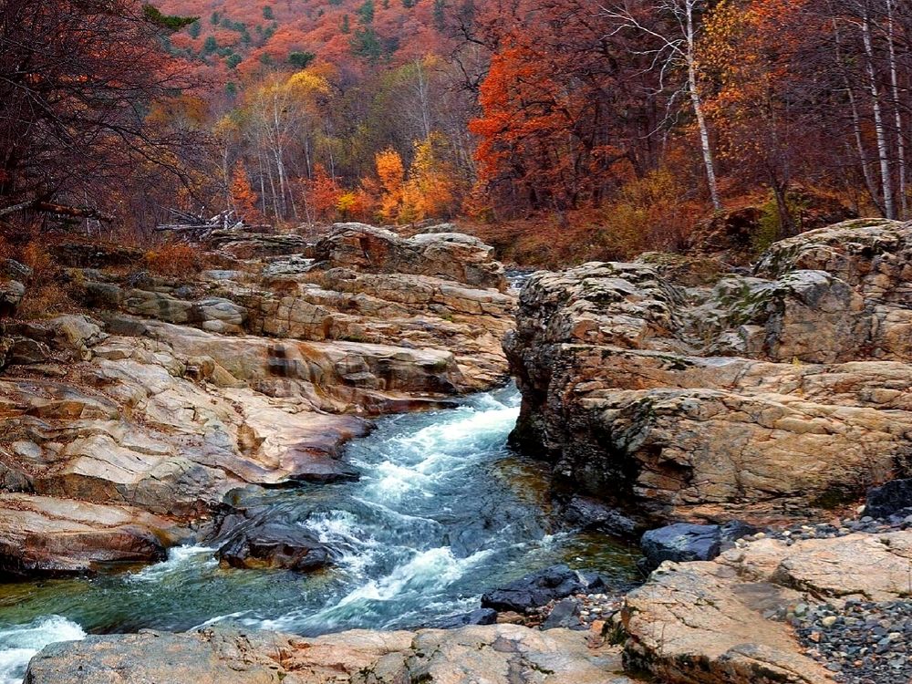 Осенняя прогулка по тайге.