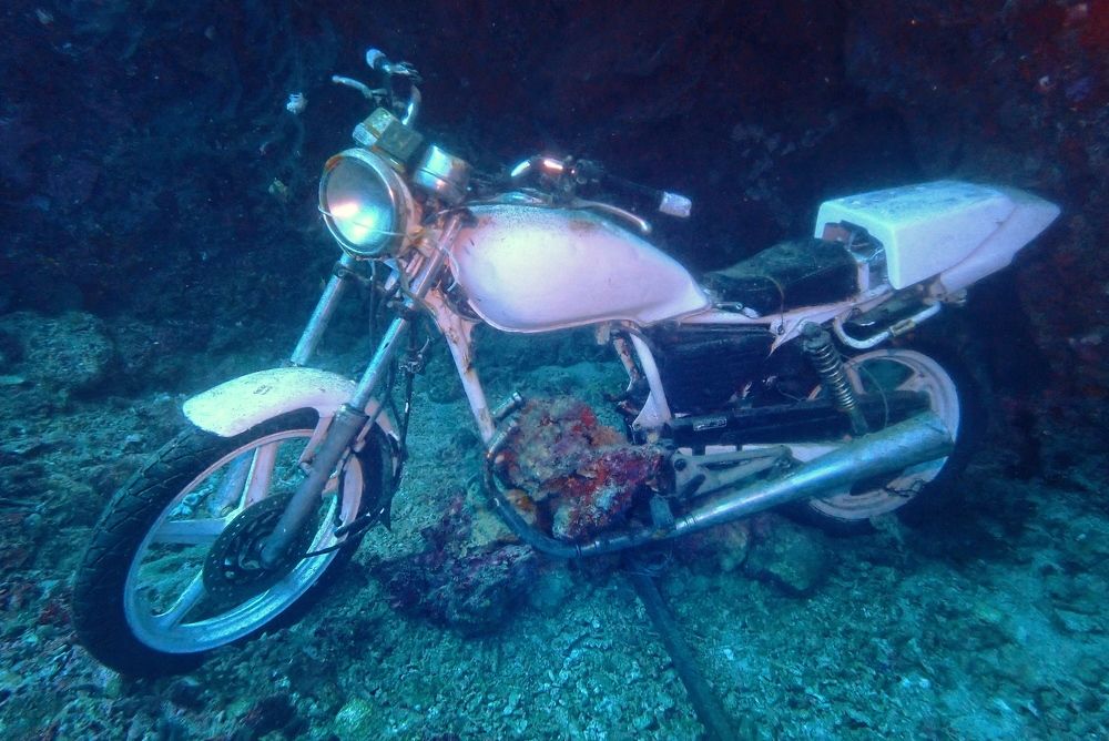 Photograph by Penn De Los Santos