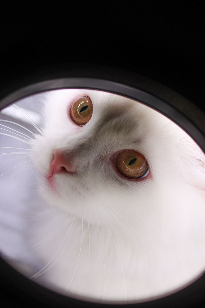 Photograph by Юлия Фомина