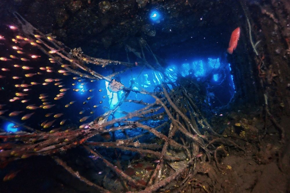 Photograph by Penn De Los Santos