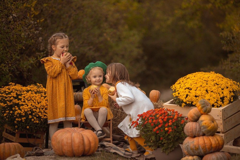 Photograph by Екатерина Беспалова