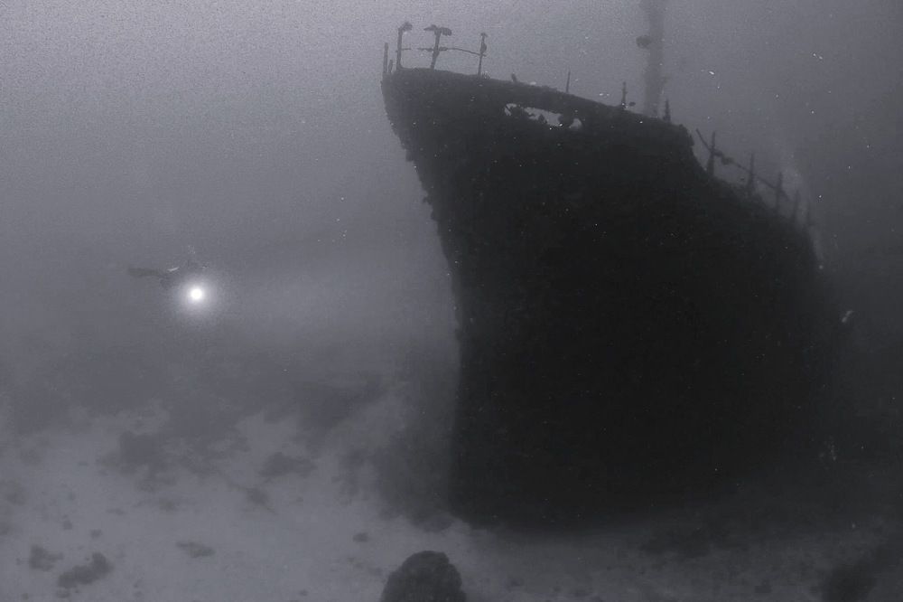 Photograph by Penn De Los Santos